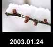 2003.01.24