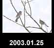 2003.01.25