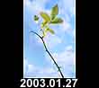 2003.01.27