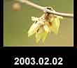 2003.02.02