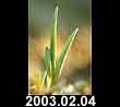 2003.02.04