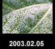 2003.02.05
