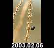 2003.02.06