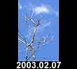 2003.02.07