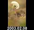 2003.02.08