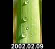 2003.02.09