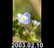 2003.02.10