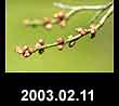 2003.02.11