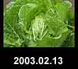 2003.02.13