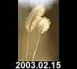 2003.02.15