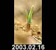 2003.02.16