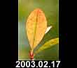 2003.02.17