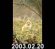 2003.02.20