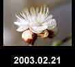 2003.02.21