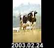 2003.02.24