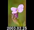 2003.02.25