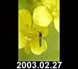 2003.02.27