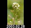 2003.02.28