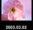 2003.03.02