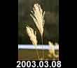 2003.03.08