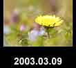 2003.03.09