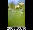 2003.03.10