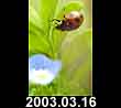 2003.03.16