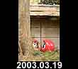 2003.03.19