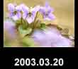 2003.03.20