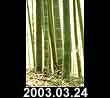 2003.03.24