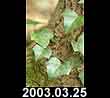 2003.03.25