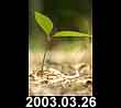 2003.03.26