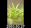 2003.03.27