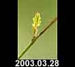 2003.03.28
