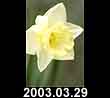 2003.03.29