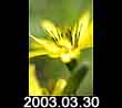 2003.03.30