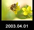 2003.04.01