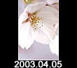 2003.04.05