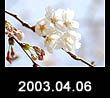 2003.04.06