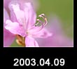 2003.04.09