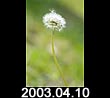 2003.04.10