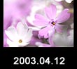 2003.04.12
