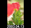 2003.04.13