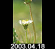 2003.04.18