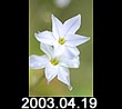 2003.04.19