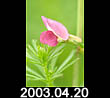 2003.04.20