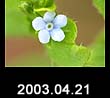 2003.04.21