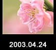 2003.04.24