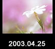 2003.04.25