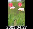 2003.04.27